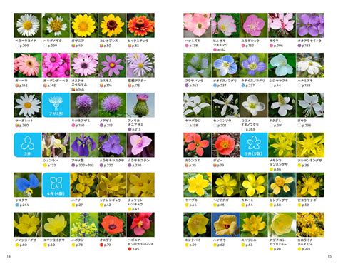 花品種名|植物名から探す（花の名前から調べる）